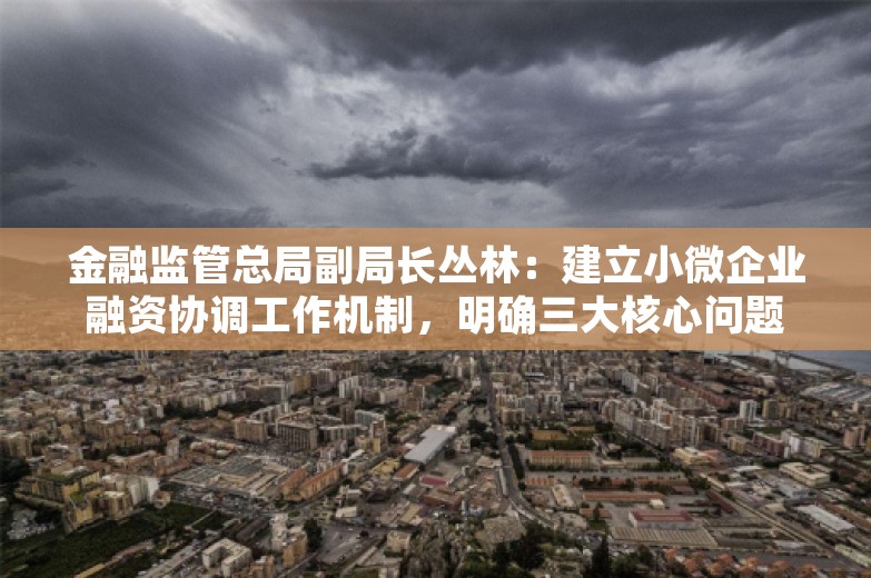 金融监管总局副局长丛林：建立小微企业融资协调工作机制，明确三大核心问题