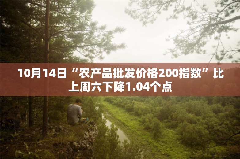 10月14日“农产品批发价格200指数”比上周六下降1.04个点