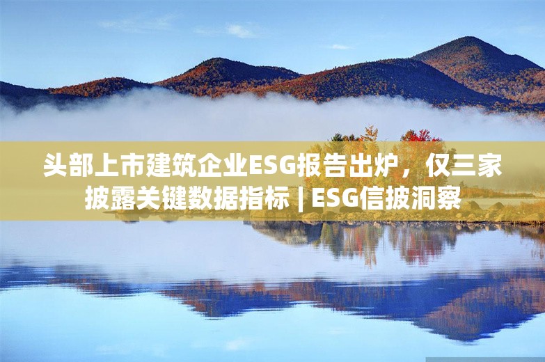 头部上市建筑企业ESG报告出炉，仅三家披露关键数据指标 | ESG信披洞察