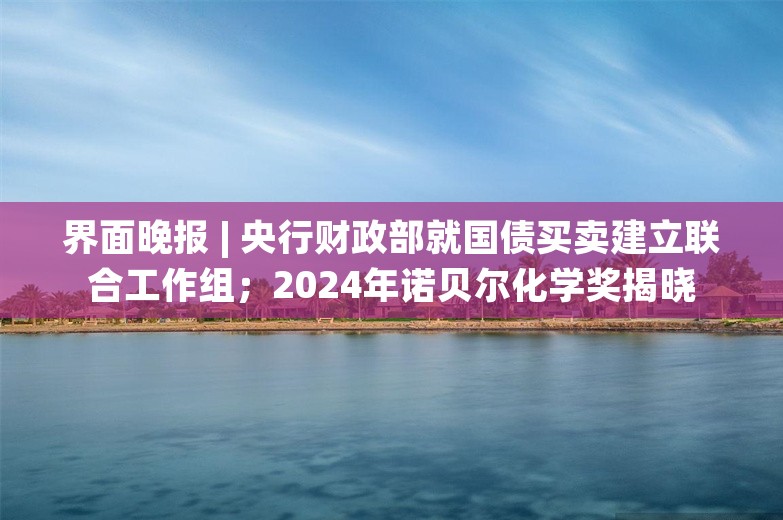 界面晚报 | 央行财政部就国债买卖建立联合工作组；2024年诺贝尔化学奖揭晓