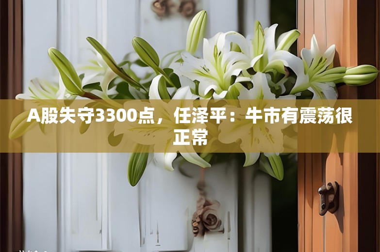 A股失守3300点，任泽平：牛市有震荡很正常