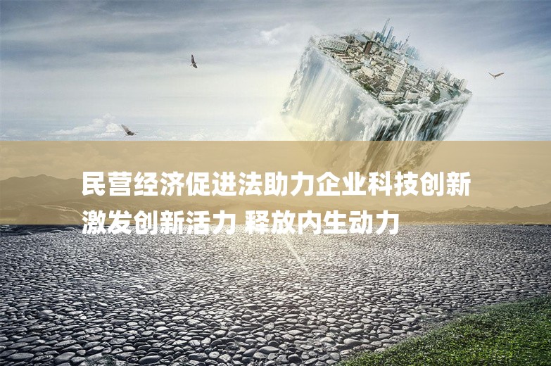 民营经济促进法助力企业科技创新
激发创新活力 释放内生动力