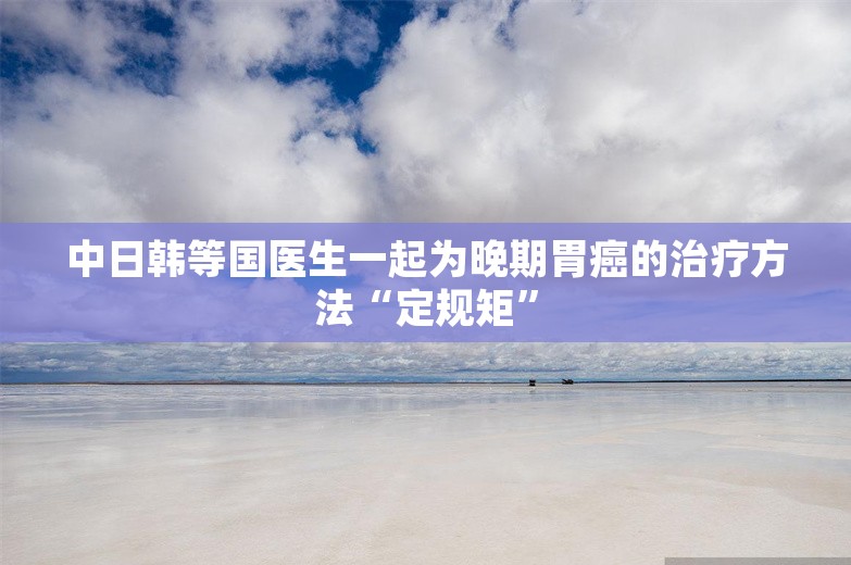 中日韩等国医生一起为晚期胃癌的治疗方法“定规矩”