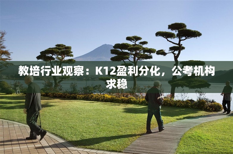 教培行业观察：K12盈利分化，公考机构求稳