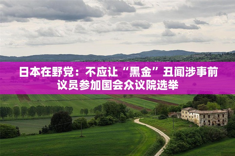 日本在野党：不应让“黑金”丑闻涉事前议员参加国会众议院选举