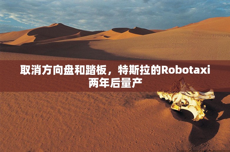 取消方向盘和踏板，特斯拉的Robotaxi两年后量产