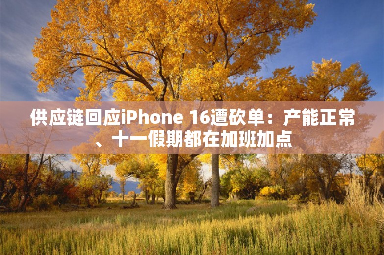 供应链回应iPhone 16遭砍单：产能正常、十一假期都在加班加点