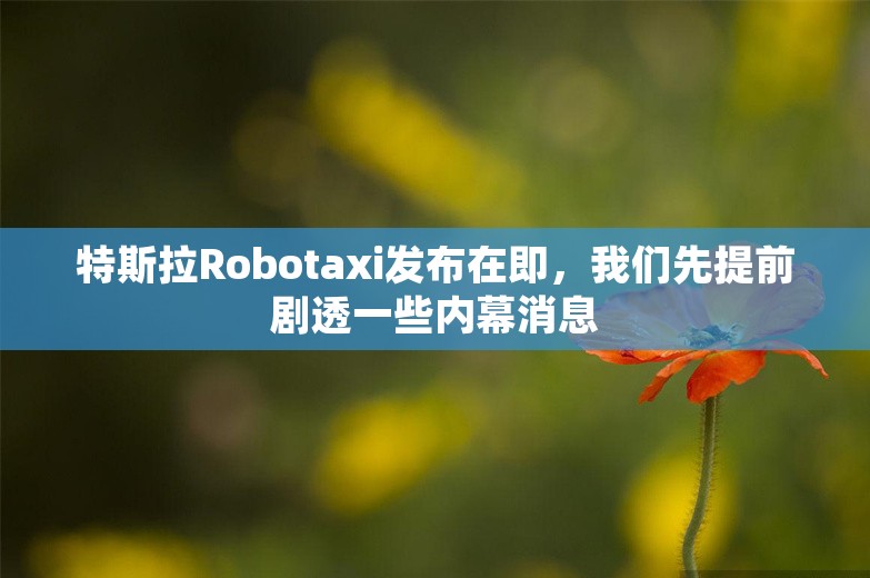 特斯拉Robotaxi发布在即，我们先提前剧透一些内幕消息