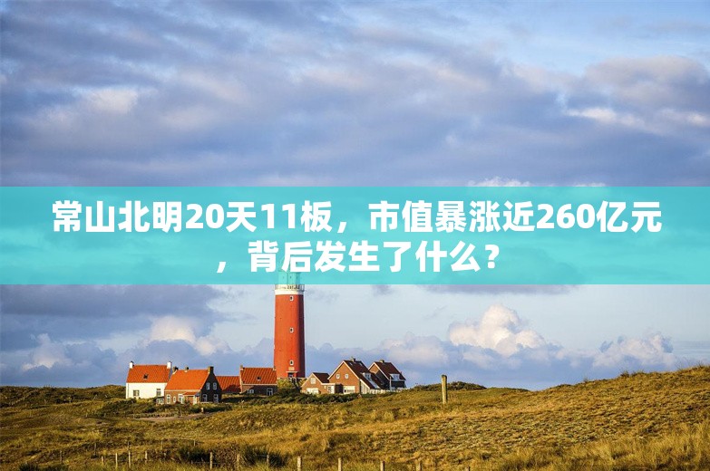 常山北明20天11板，市值暴涨近260亿元，背后发生了什么？