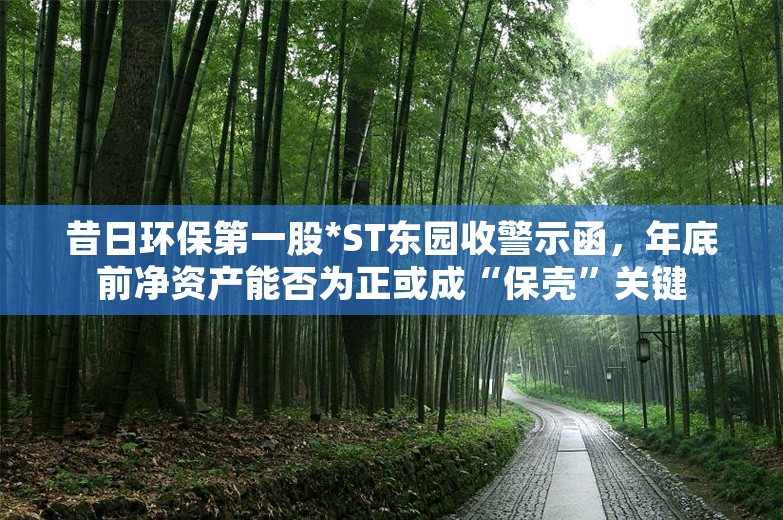 昔日环保第一股*ST东园收警示函，年底前净资产能否为正或成“保壳”关键