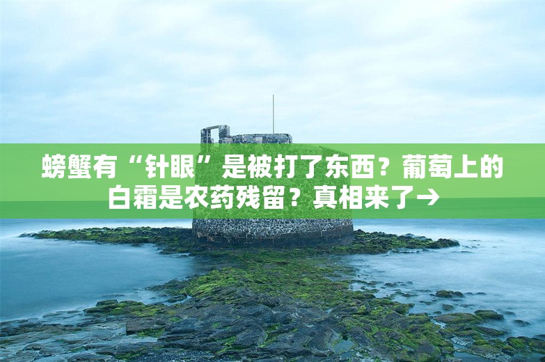 螃蟹有“针眼”是被打了东西？葡萄上的白霜是农药残留？真相来了→