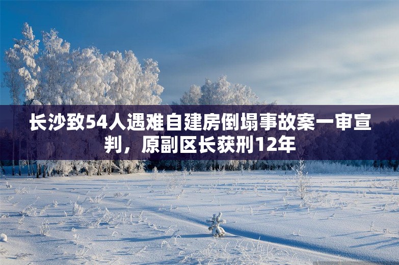 长沙致54人遇难自建房倒塌事故案一审宣判，原副区长获刑12年