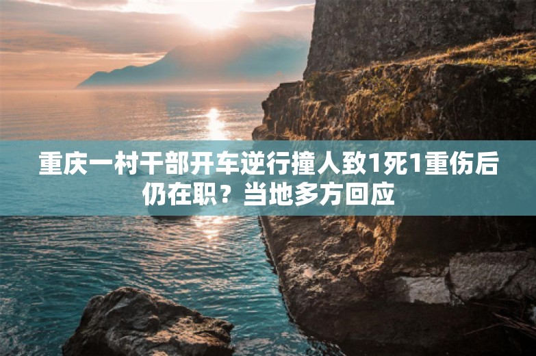 重庆一村干部开车逆行撞人致1死1重伤后仍在职？当地多方回应