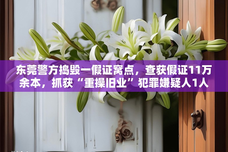 东莞警方捣毁一假证窝点，查获假证11万余本，抓获“重操旧业”犯罪嫌疑人1人