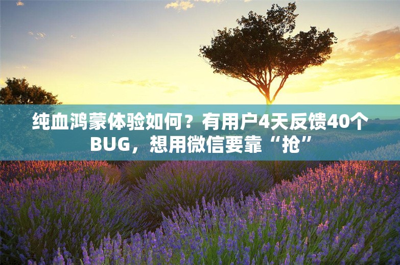 纯血鸿蒙体验如何？有用户4天反馈40个BUG，想用微信要靠“抢”