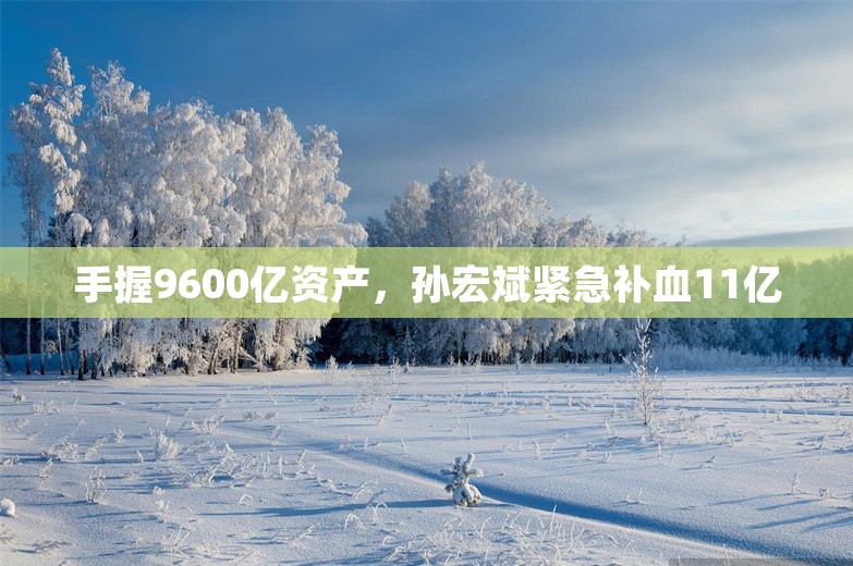 手握9600亿资产，孙宏斌紧急补血11亿