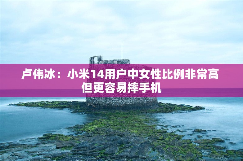 卢伟冰：小米14用户中女性比例非常高 但更容易摔手机