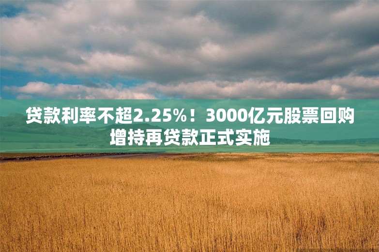 贷款利率不超2.25%！3000亿元股票回购增持再贷款正式实施