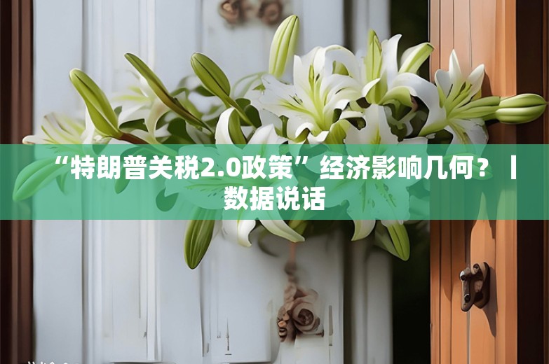 “特朗普关税2.0政策”经济影响几何？丨数据说话