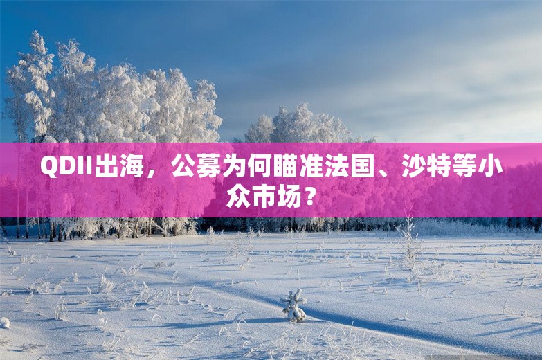 QDII出海，公募为何瞄准法国、沙特等小众市场？