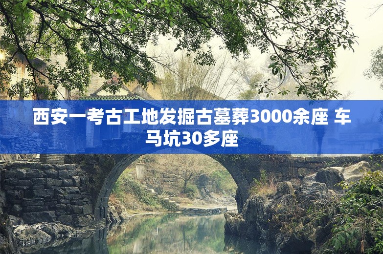 西安一考古工地发掘古墓葬3000余座 车马坑30多座