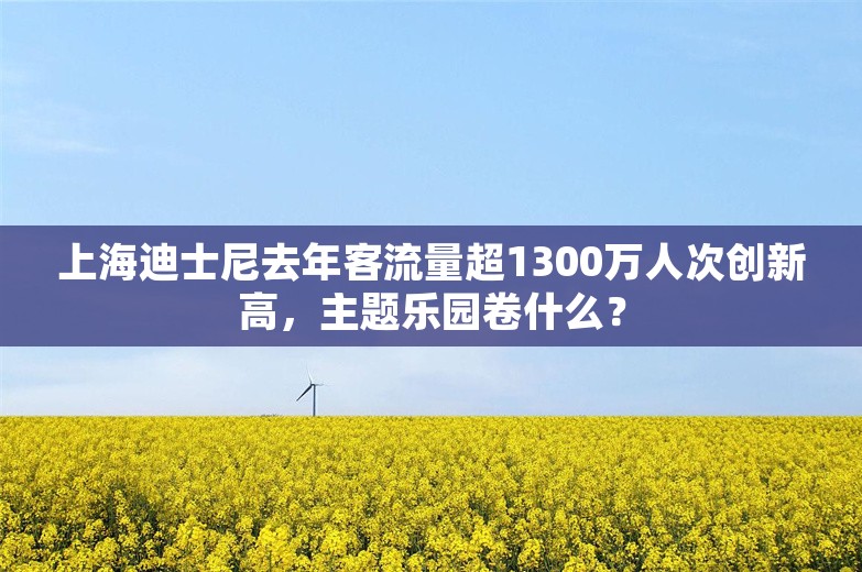 上海迪士尼去年客流量超1300万人次创新高，主题乐园卷什么？