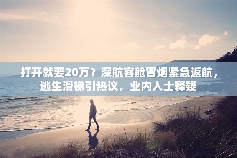 打开就要20万？深航客舱冒烟紧急返航，逃生滑梯引热议，业内人士释疑