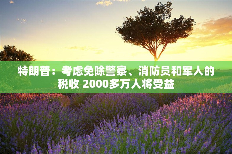 特朗普：考虑免除警察、消防员和军人的税收 2000多万人将受益