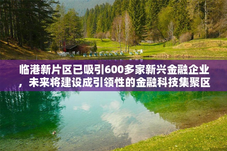 临港新片区已吸引600多家新兴金融企业，未来将建设成引领性的金融科技集聚区