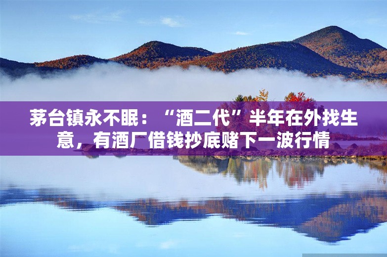 茅台镇永不眠：“酒二代”半年在外找生意，有酒厂借钱抄底赌下一波行情