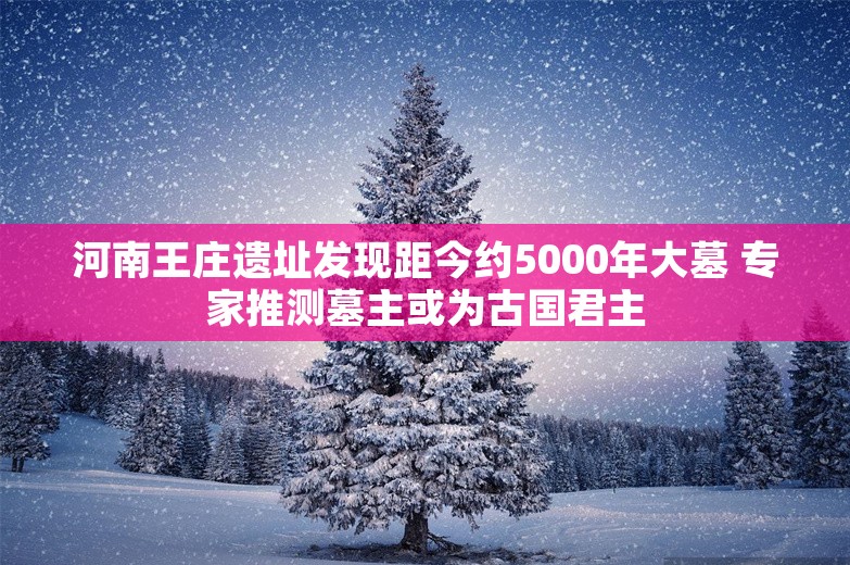 河南王庄遗址发现距今约5000年大墓 专家推测墓主或为古国君主