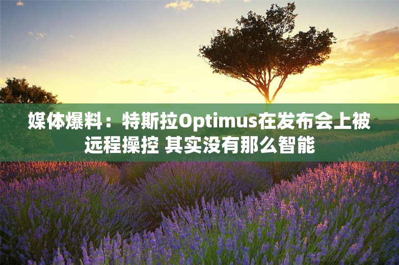 媒体爆料：特斯拉Optimus在发布会上被远程操控 其实没有那么智能