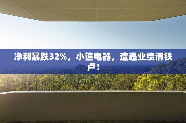 净利暴跌32%，小熊电器，遭遇业绩滑铁卢！