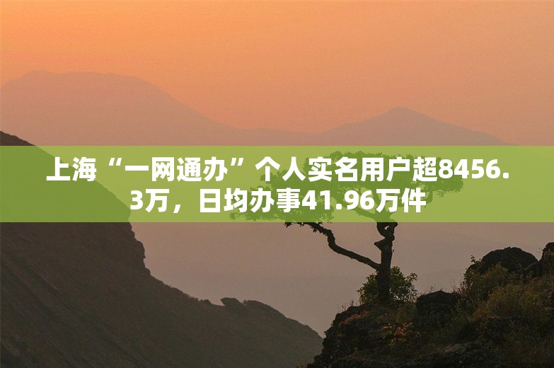 上海“一网通办”个人实名用户超8456.3万，日均办事41.96万件