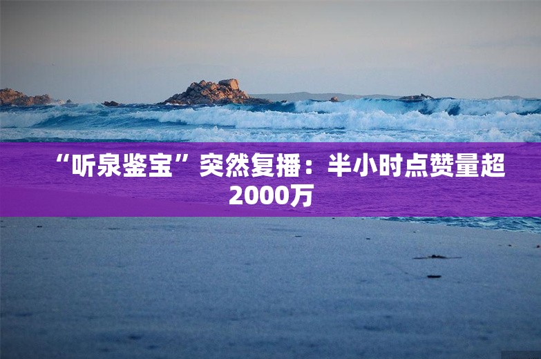 “听泉鉴宝”突然复播：半小时点赞量超2000万