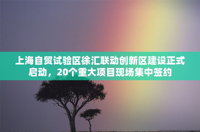 上海自贸试验区徐汇联动创新区建设正式启动，20个重大项目现场集中签约