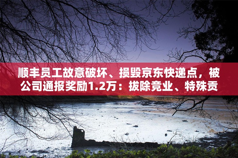 顺丰员工故意破坏、损毁京东快递点，被公司通报奖励1.2万：拔除竞业、特殊贡献奖；一公司强制全员连上37天班；传淘宝主播贷款发红包丨雷峰早报