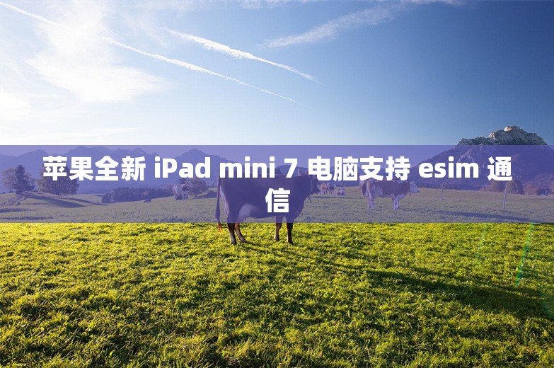 苹果全新 iPad mini 7 电脑支持 esim 通信