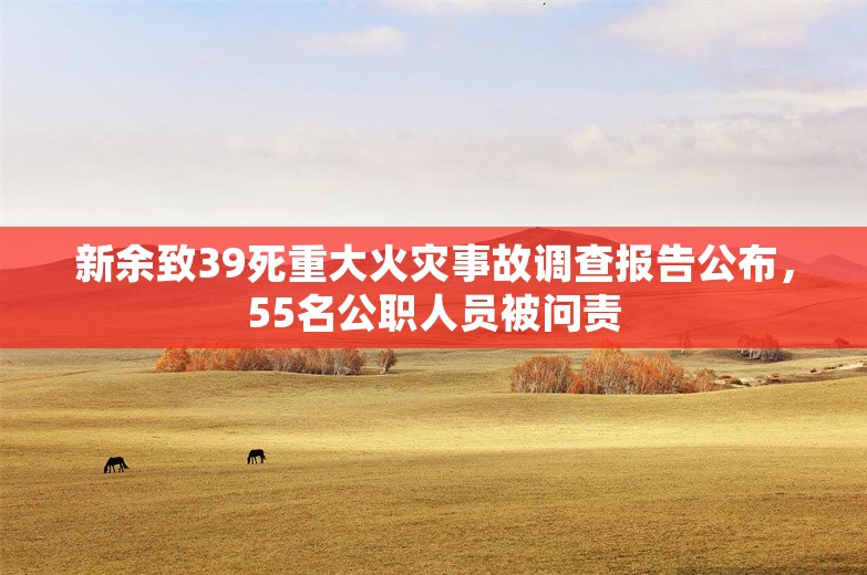 新余致39死重大火灾事故调查报告公布，55名公职人员被问责