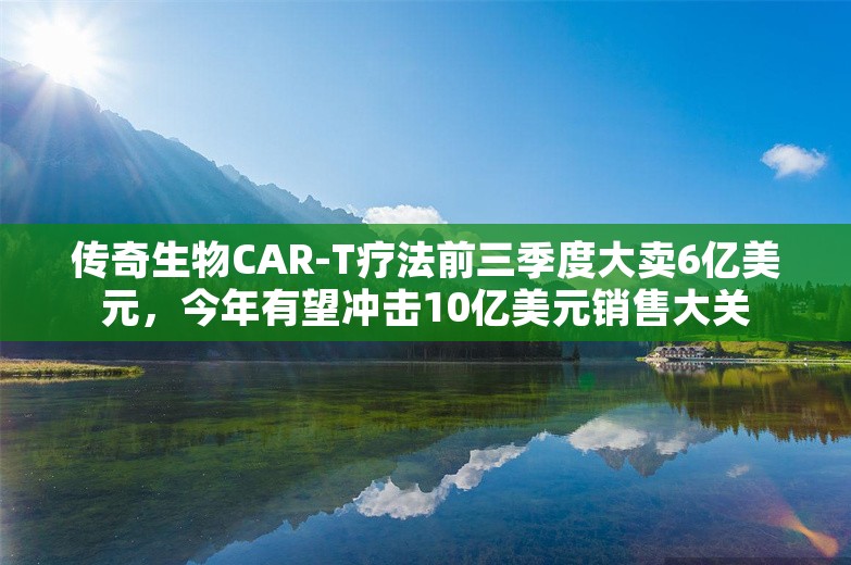 传奇生物CAR-T疗法前三季度大卖6亿美元，今年有望冲击10亿美元销售大关