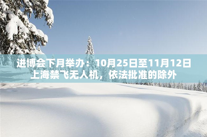 进博会下月举办：10月25日至11月12日上海禁飞无人机，依法批准的除外