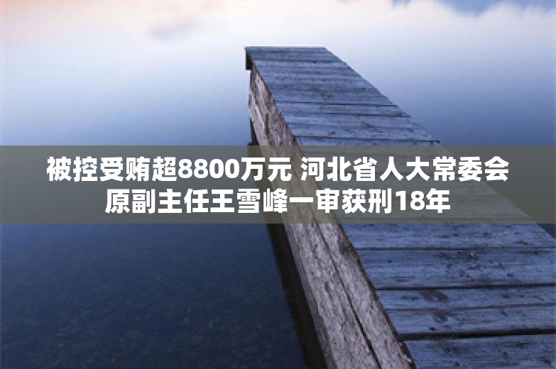 被控受贿超8800万元 河北省人大常委会原副主任王雪峰一审获刑18年