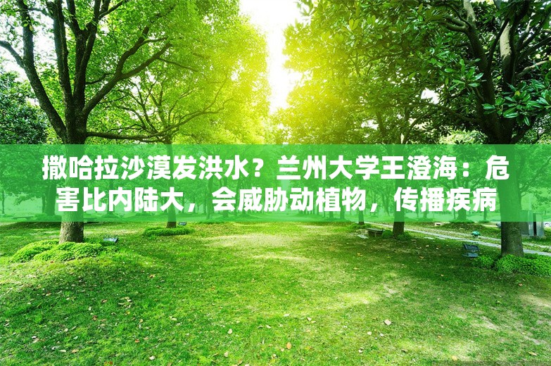 撒哈拉沙漠发洪水？兰州大学王澄海：危害比内陆大，会威胁动植物，传播疾病