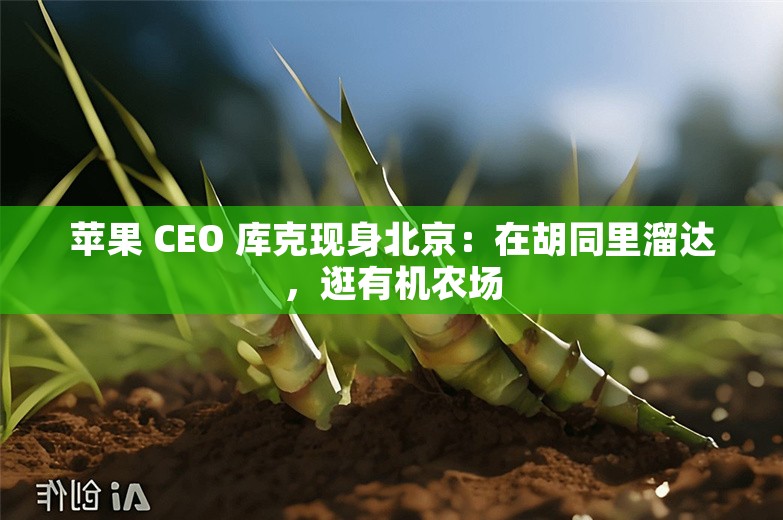 苹果 CEO 库克现身北京：在胡同里溜达，逛有机农场