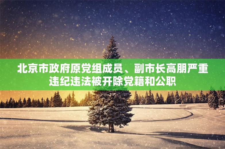 北京市政府原党组成员、副市长高朋严重违纪违法被开除党籍和公职