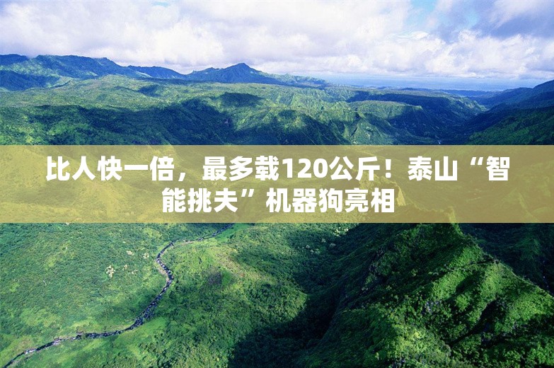 比人快一倍，最多载120公斤！泰山“智能挑夫”机器狗亮相