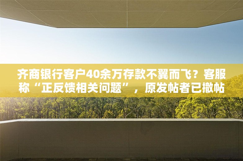 齐商银行客户40余万存款不翼而飞？客服称“正反馈相关问题”，原发帖者已撤帖