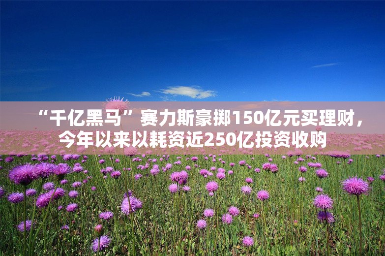 “千亿黑马”赛力斯豪掷150亿元买理财，今年以来以耗资近250亿投资收购