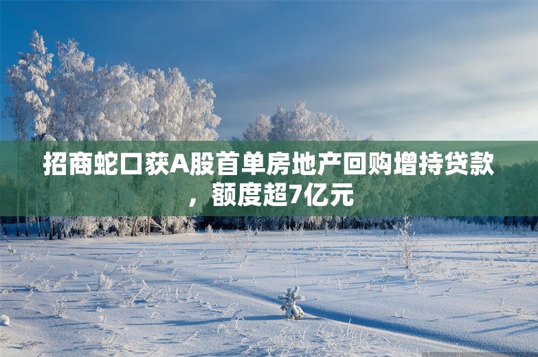 招商蛇口获A股首单房地产回购增持贷款，额度超7亿元