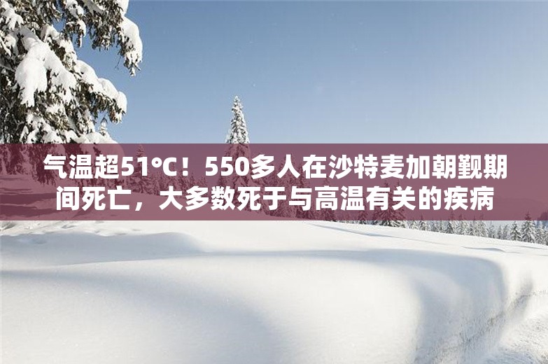 气温超51℃！550多人在沙特麦加朝觐期间死亡，大多数死于与高温有关的疾病